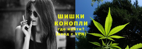 ПСИЛОЦИБИНОВЫЕ ГРИБЫ Абаза