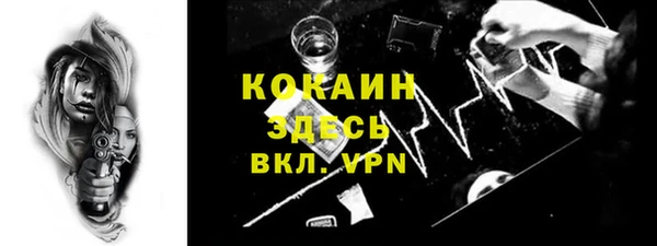 ПСИЛОЦИБИНОВЫЕ ГРИБЫ Абаза