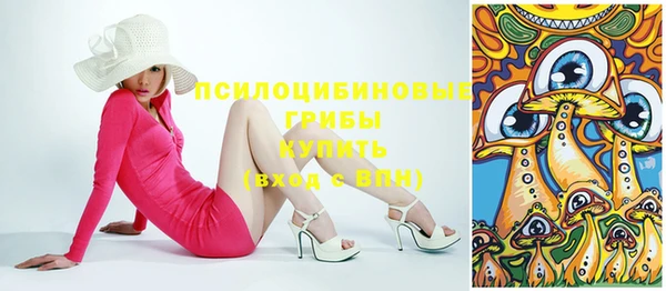 ПСИЛОЦИБИНОВЫЕ ГРИБЫ Абаза