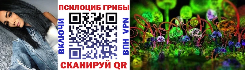 что такое наркотик hydra ссылка Галлюциногенные грибы Cubensis Сорск